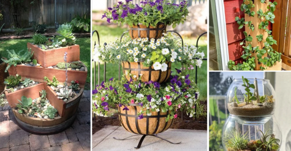 Tanaman Hias dengan Pot Bertingkat